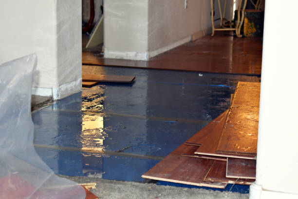 Professional Burst Pipe Cleanup technician working in Shelter Island Heights, NY